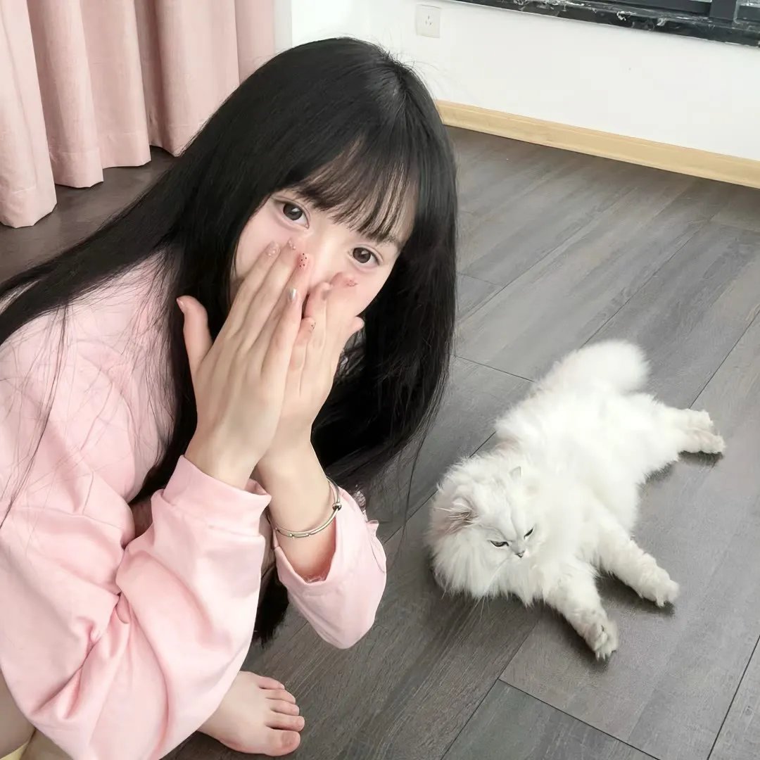 韩赛尔与格蕾特